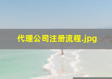 代理公司注册流程