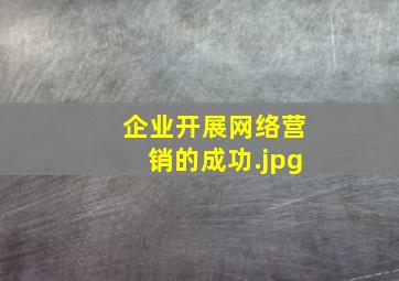 企业开展网络营销的成功