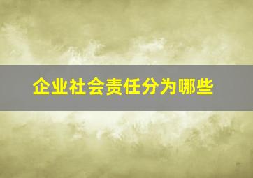 企业社会责任分为哪些