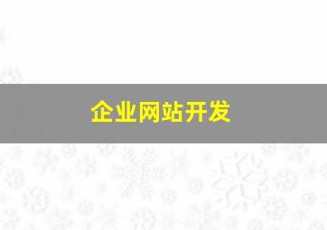 企业网站开发