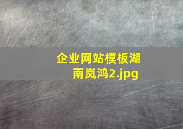 企业网站模板湖南岚鸿