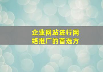 企业网站进行网络推广的首选方
