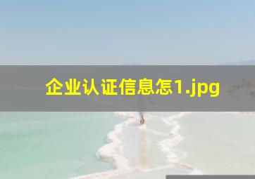 企业认证信息怎
