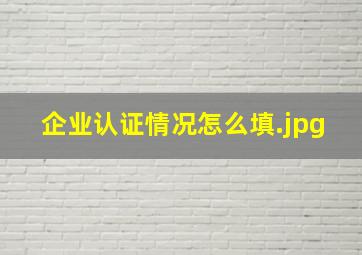 企业认证情况怎么填