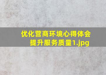 优化营商环境心得体会提升服务质量