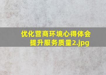 优化营商环境心得体会提升服务质量