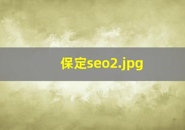 保定seo