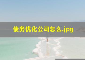 债务优化公司怎么