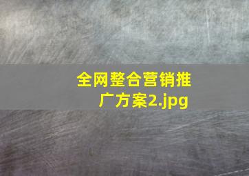 全网整合营销推广方案