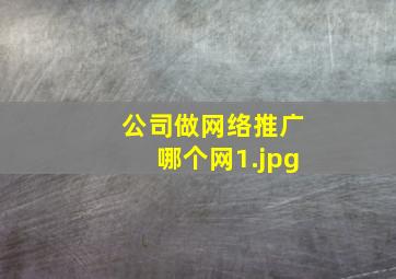 公司做网络推广哪个网