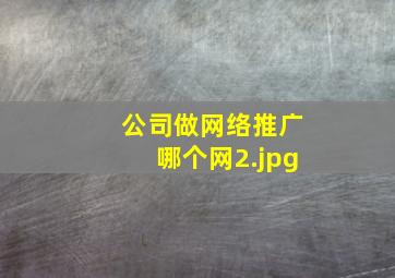 公司做网络推广哪个网