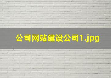 公司网站建设公司