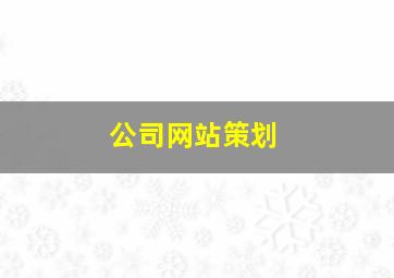 公司网站策划