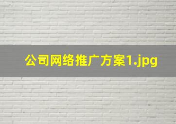 公司网络推广方案