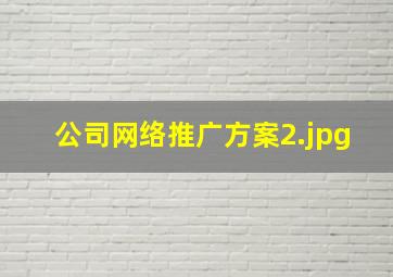 公司网络推广方案
