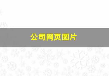 公司网页图片