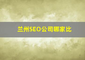 兰州SEO公司哪家比