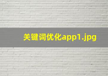 关键词优化app
