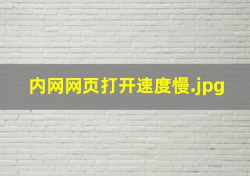 内网网页打开速度慢