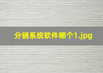 分销系统软件哪个
