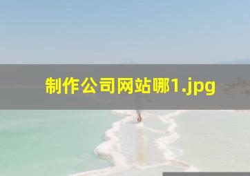制作公司网站哪