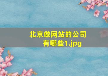 北京做网站的公司有哪些