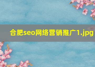 合肥seo网络营销推广