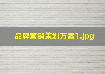 品牌营销策划方案