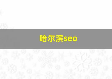 哈尔滨seo