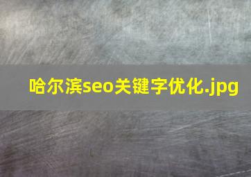 哈尔滨seo关键字优化