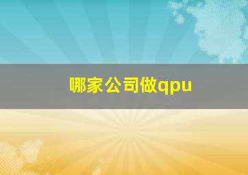 哪家公司做qpu