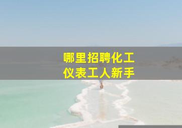 哪里招聘化工仪表工人新手