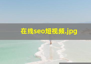在线seo短视频