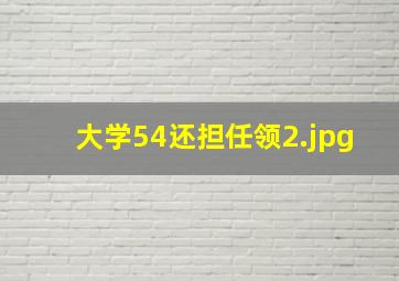 大学54还担任领