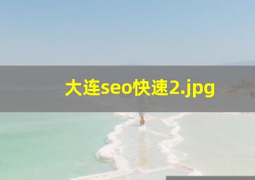 大连seo快速