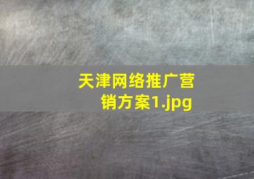 天津网络推广营销方案