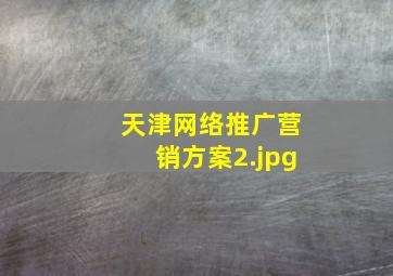 天津网络推广营销方案