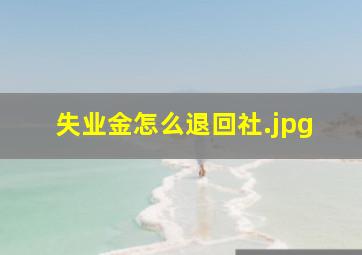 失业金怎么退回社