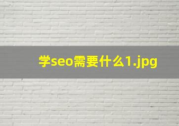 学seo需要什么