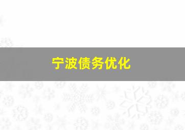 宁波债务优化