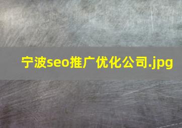 宁波seo推广优化公司