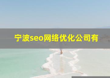 宁波seo网络优化公司有
