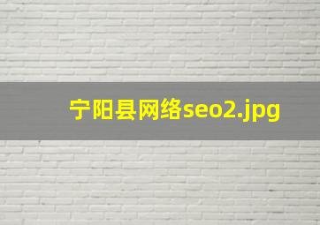 宁阳县网络seo