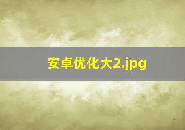 安卓优化大