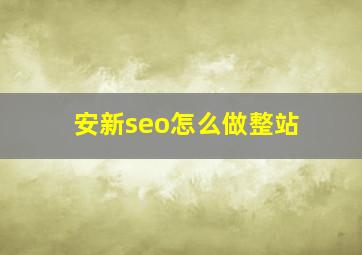 安新seo怎么做整站