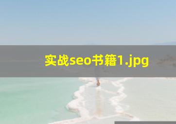 实战seo书籍