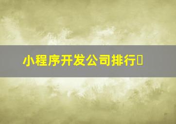 小程序开发公司排行�