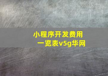 小程序开发费用一览表v5g华网