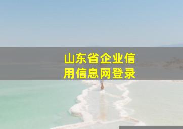 山东省企业信用信息网登录