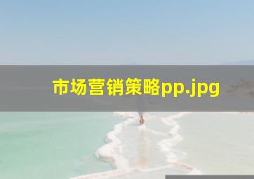市场营销策略pp
